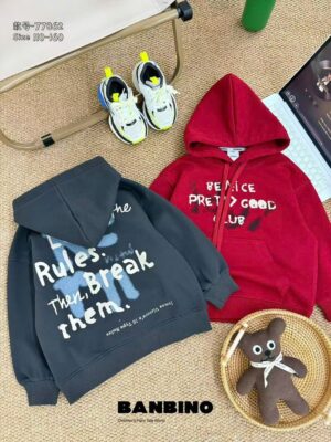 Áo hoodie tay dài nón 25-65kg(7-17)