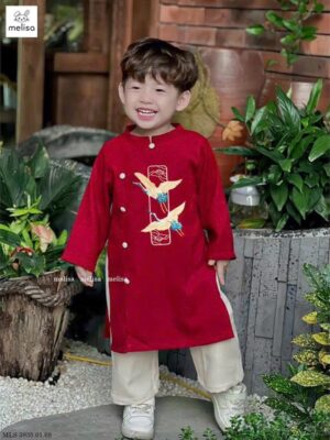 Ao dai bt