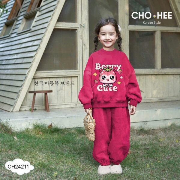 Btd nỉ Hồng 6-10
