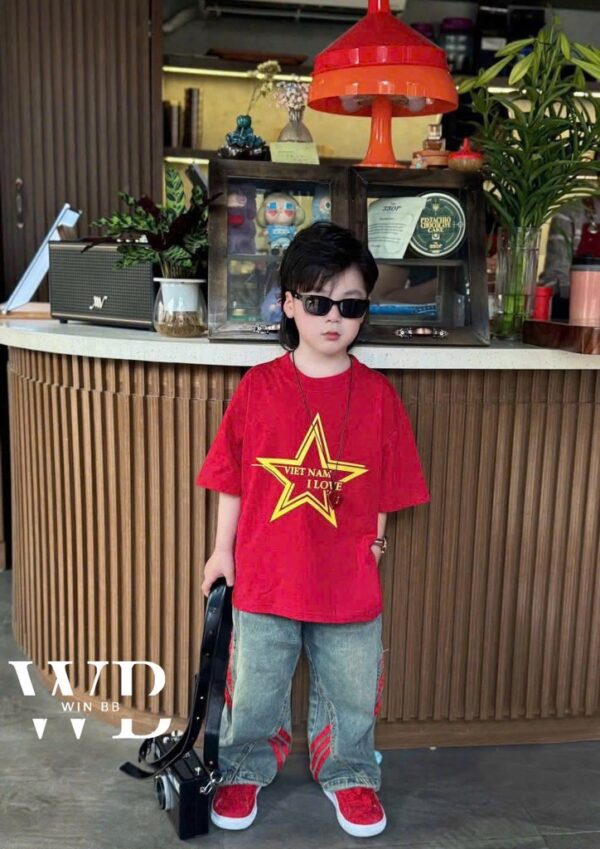 Áo thun Việt Nam cho gia đình đại