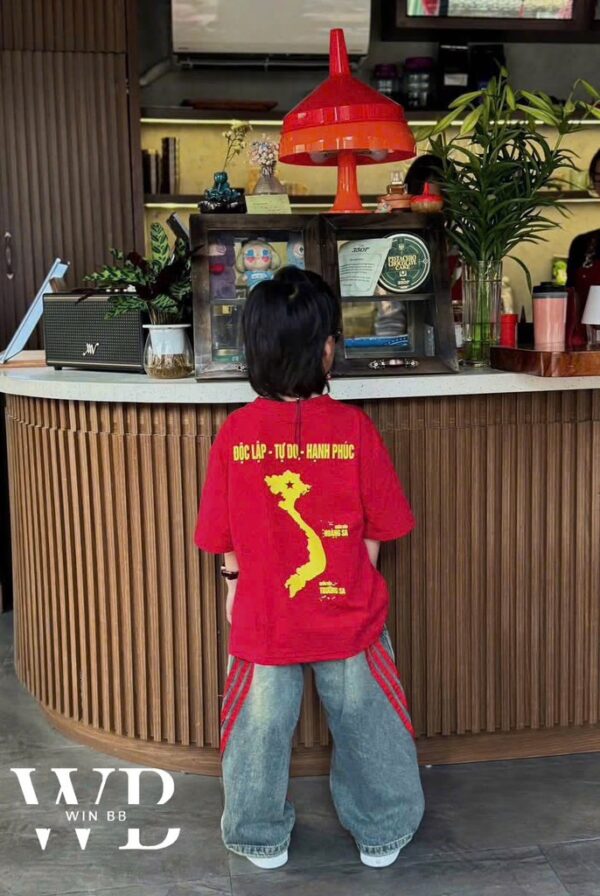 Áo thun Việt Nam gia đình cồ