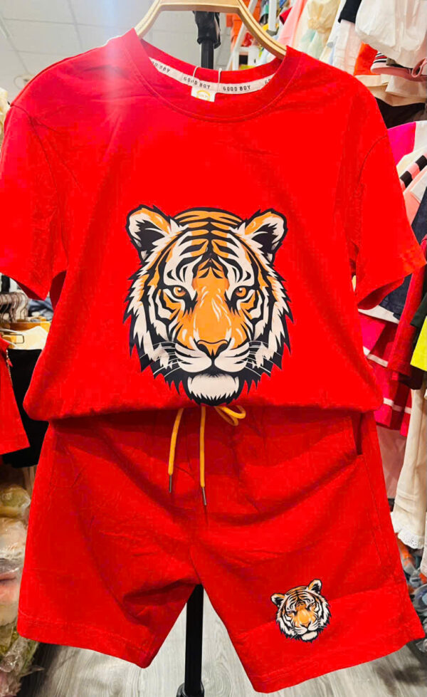 Bộ tiger bé trai sz lớn 30-55kg - Hình ảnh 4