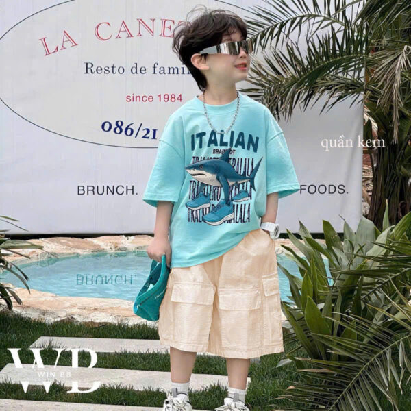 Áo thun cá tung tung quần kaki - Hình ảnh 2